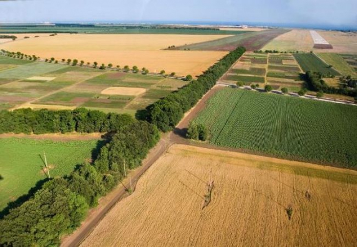Земельные участки сельхозназначения можно перевести в другую категорию земель